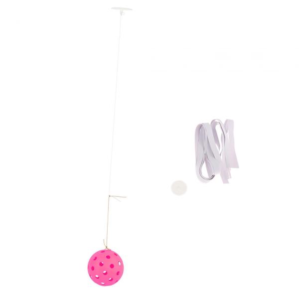 ピックルボール トレーナー ピックルボール ボール コード付き 屋内ピックルボール トレーニング ツール ローズレッド