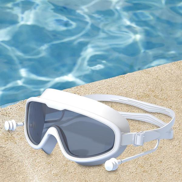 水泳用ゴーグル 耳栓付き 曇り止め 広視野 ビーチ スポーツ 水泳用メガネ スタイル D