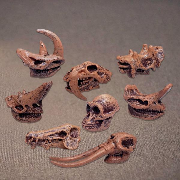 動物の先史時代の哺乳類の頭蓋骨モデル認知玩具置物ギフト