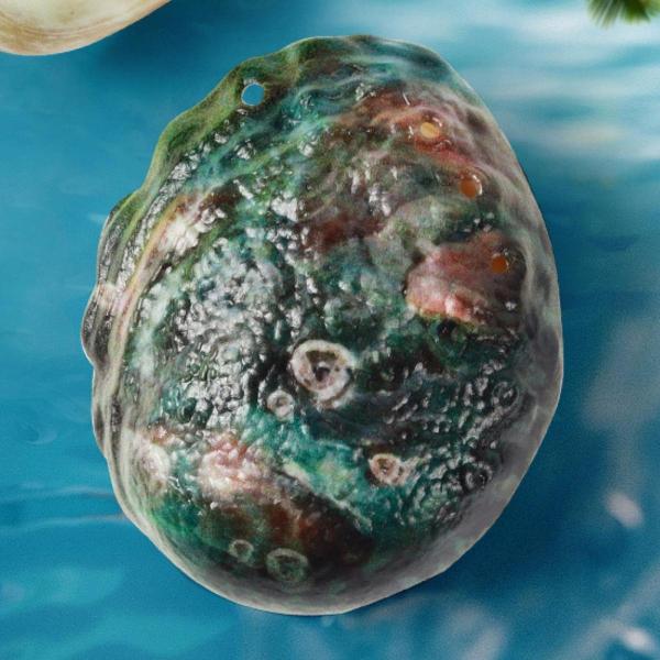 水スプレーおもちゃ シミュレーションアワビ 面白いジョーク かわいいプレス型 屋外スプリンクラーおもちゃ パーティー 裏庭 子供用