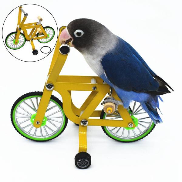 インコのための鳥の知性の訓練おもちゃの訓練用品オウムパズル自転車