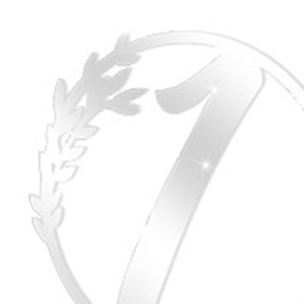 テーブル番号カード 座席カード 宴会 パーティー 装飾 お祝い 10枚