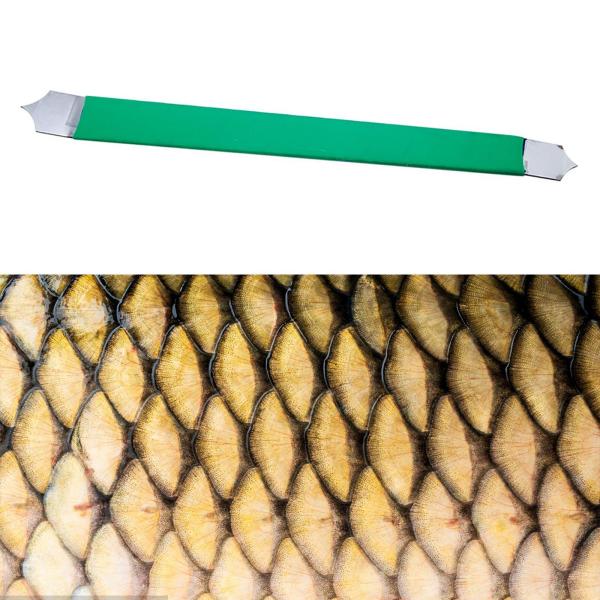 大人向けの陶器道具魚のスケールツール再利用可能陶器粘土モデリングツールコンパクト彫刻ツール魚のテクスチャツール