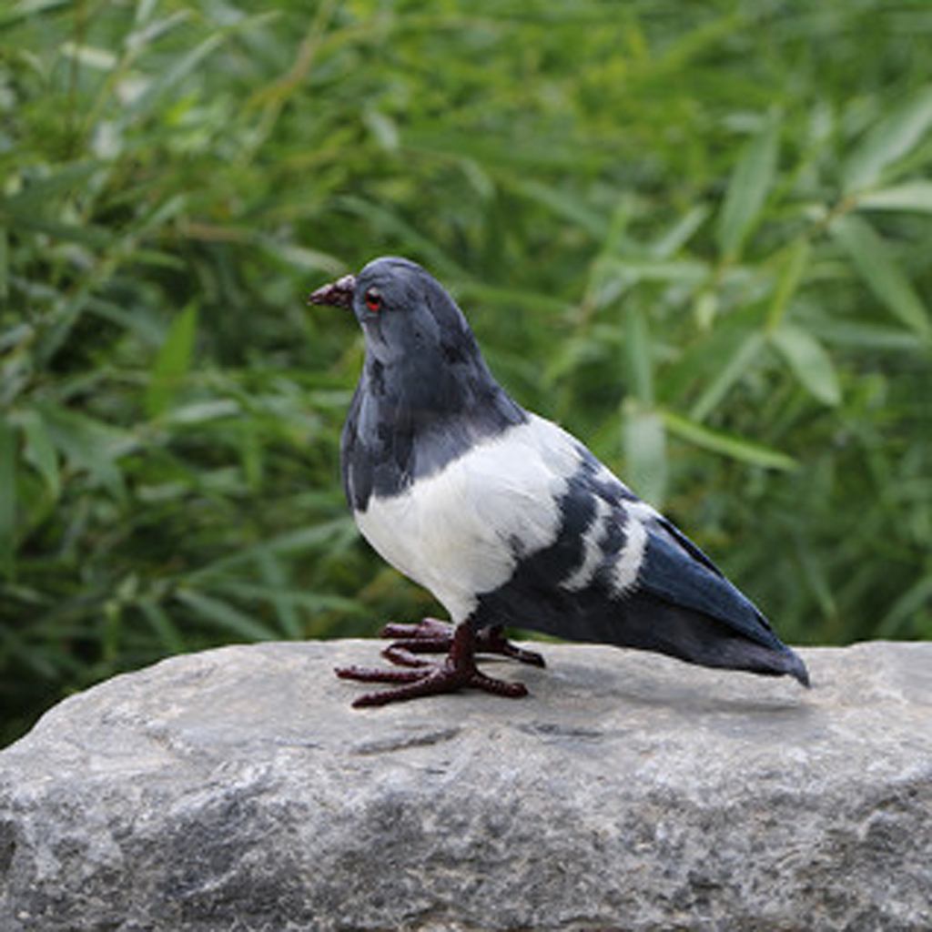 鳩 置物（ガーデン用オーナメント、オブジェ）の商品一覧｜庭