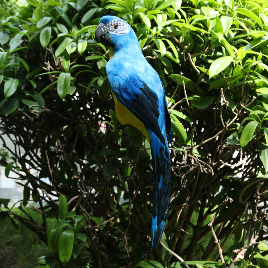 カラフルな鳥の羽のリアルな家庭菜園の装飾飾りオウム鳥 : STKショップ