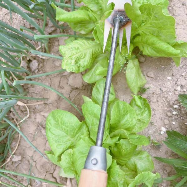 手動除草機 軽量 草刈り鎌 草抜き 道具 雑草削り 使いやすい 草取り道具 園芸用品 草取りグッズ 雑草取り器具 根抜きツール ハンド除草機 園芸工具 爆買