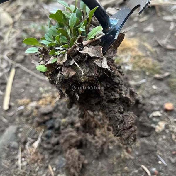 手動除草機 軽量 草刈り鎌 草抜き 道具 雑草削り 使いやすい 草取り道具 園芸用品 草取りグッズ 雑草取り器具 根抜きツール ハンド除草機 園芸工具