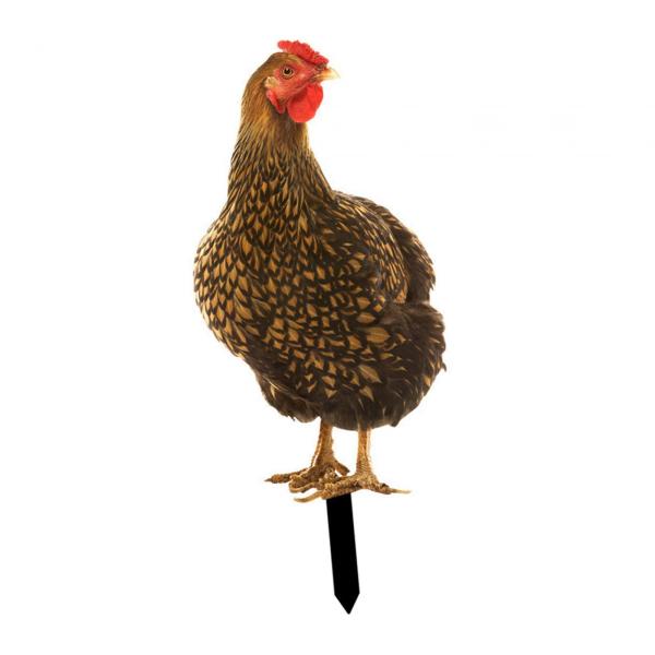 アクリル編飾り庭彫刻ヤードステークス通路芝生中庭スタイル B