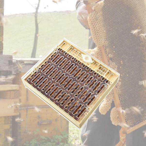養蜂飼育ボックス 蜂の巣箱、飼育ボックス、ツール 安全な養蜂養蜂機器養蜂セット 養蜂家用