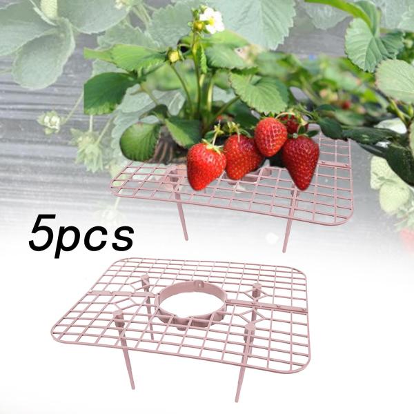5個 栽培ホルダー ラック スタンド フレーム 裏庭 ケージ イチゴ 植物 サポート ピンク