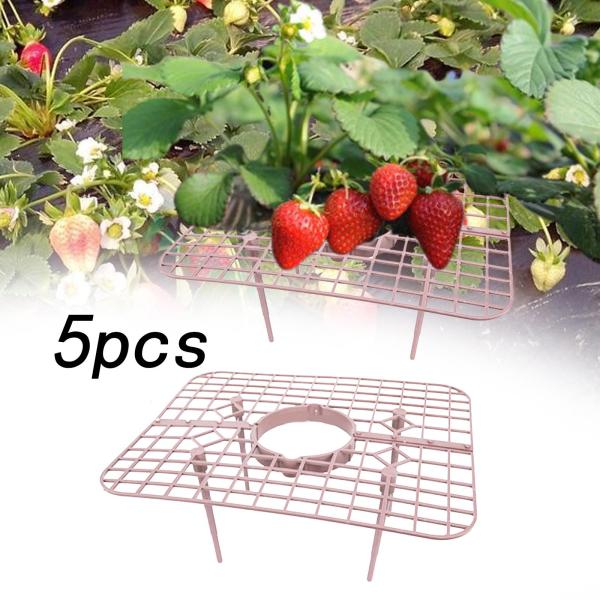 5個 栽培ホルダー ラック スタンド フレーム 裏庭 ケージ イチゴ 植物 サポート ピンク