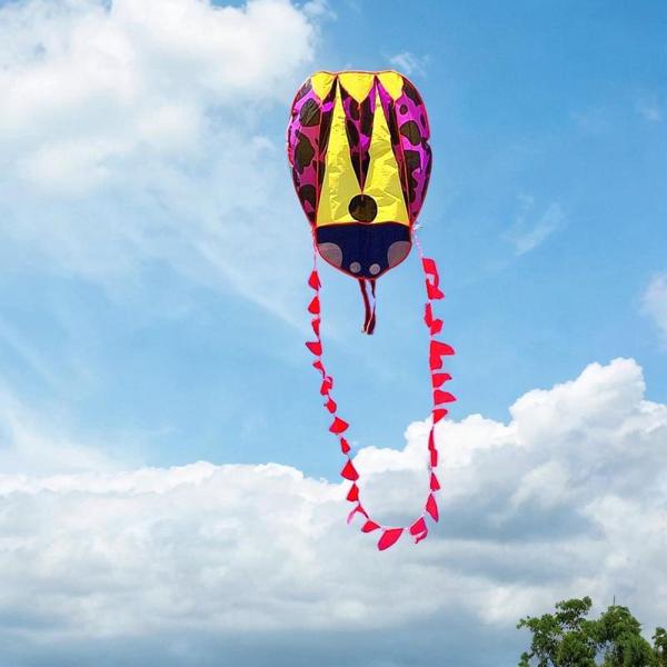 庭の遊び場の男の子の女の子のためのてんとう虫のソフトカイトポータブル動物型のカイト