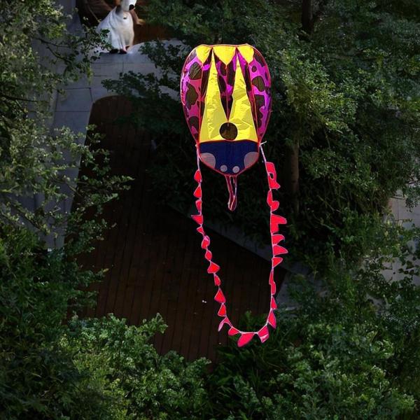 庭の遊び場の男の子の女の子のためのてんとう虫のソフトカイトポータブル動物型のカイト