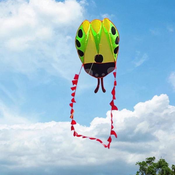 誕生日プレゼントのための大きなてんとう虫の形をしたカイト屋外のおもちゃ裏庭ビーチパークグリーン