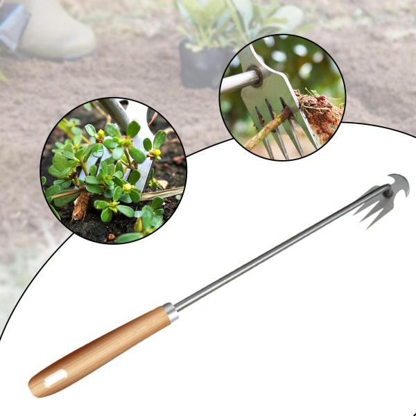 ステンレス製除草ツール 盆栽、芝生、裏庭用 50cm