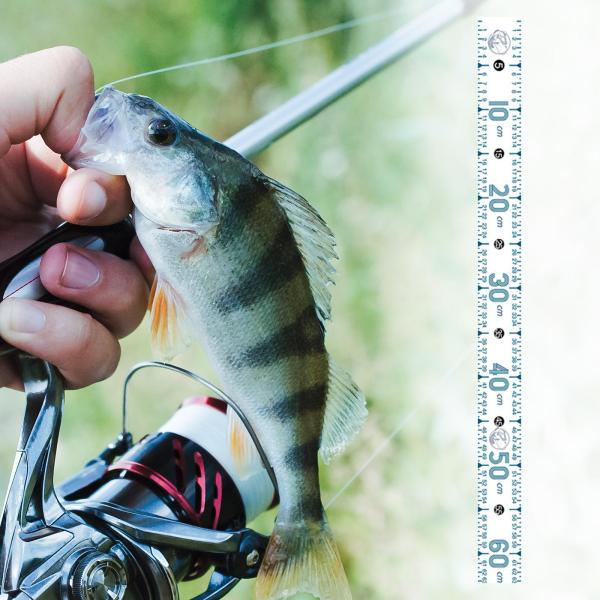 魚測定ツール 51.18 インチ 折りたたみ式釣り定規 ボート ヨット カヤック用 ホワイト B