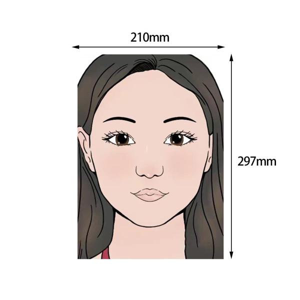 子供用フェイス練習ボード ペイントガイド フェイスペインティングステンシル 洗えるスタイル I