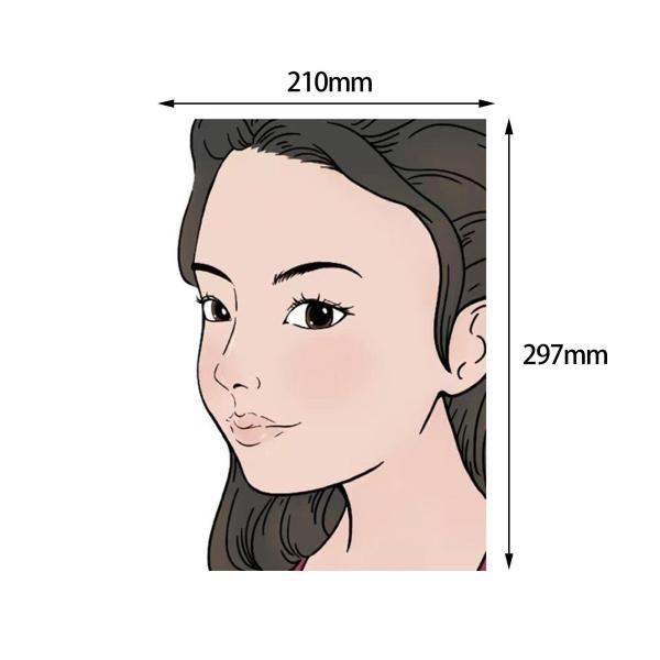 Faces 練習ボード 子供用 ペイントガイド フェイスペインティング ステンシル 洗える スタイル J