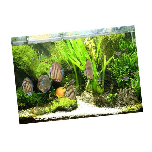 水族館の背景ステッカー、片面壁紙水槽の背景水生植物＆魚 - XXL