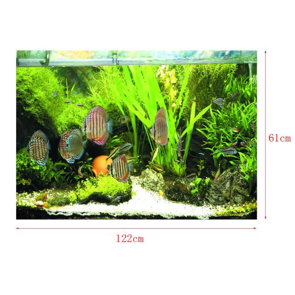水族館の背景ステッカー、片面壁紙水槽の背景水生植物＆魚 - XXL
