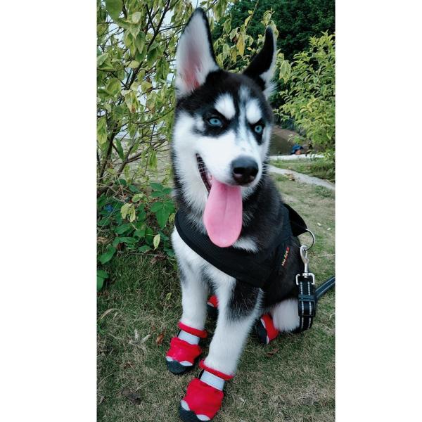 4ピース/個の犬用靴滑り止めソール付き防水足保護靴に拡大小型犬から大型犬まで - 赤S