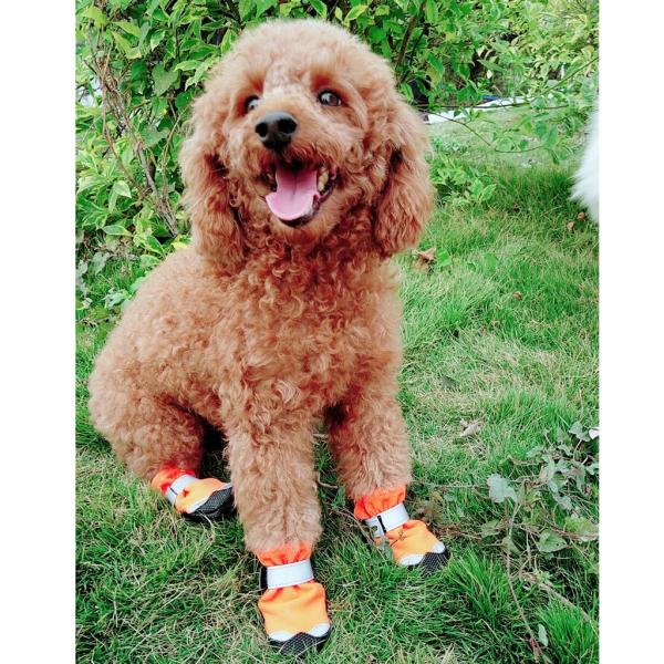 4ピース/個の犬用靴滑り止めソール付き防水足保護靴に拡大小型犬から大型犬まで - オレンジM