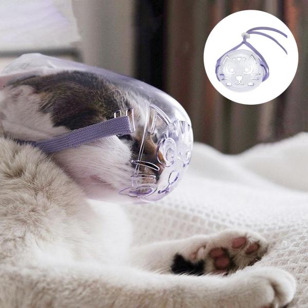 キャットマズルセットメッシュ通気性キャットマズル快適な安全ペットマズルS