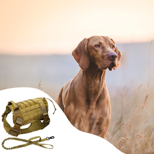 狩猟用ベスト（犬用品）の商品一覧 | ペット用品、生き物 通販 - Yahoo