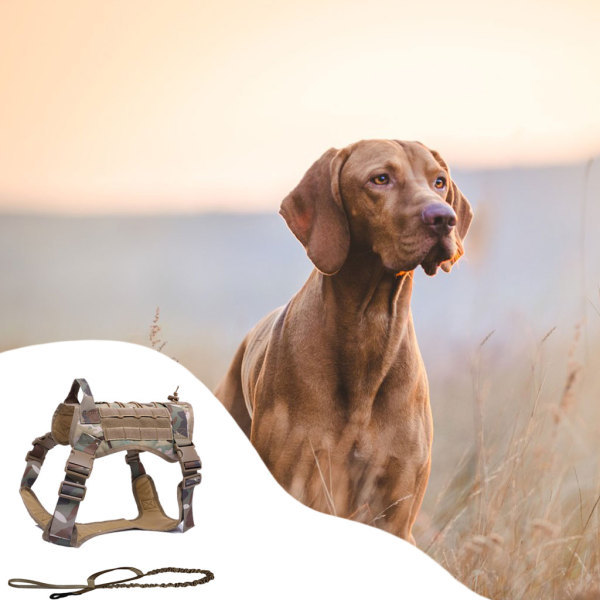 ペットの取り外し可能な犬用ハーネスサービス犬用ベストは、すべての犬種の狩猟に適しています｜stk-shop｜11