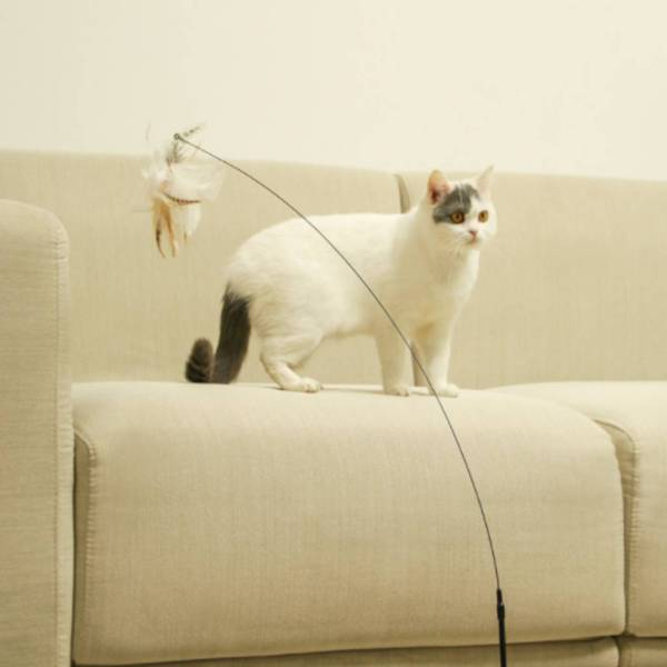 猫じゃらし 猫のおもちゃ ベル付き 羽 強力吸盤 猫用品 屋内 猫用 猫 おもちゃ トレーニングツール ふわふわ 鈴 釣竿 ネコ