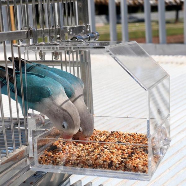 ◇在庫限り◇ 浅型バード食器 Ｌ エサ入れ 餌入れ 透明 フードフィーダー 小鳥 セキセイ オカメインコ 文鳥 サンコー SANKO 三晃商会 