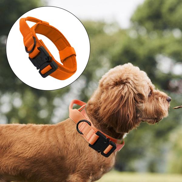 Amazon.co.jp: TTFP 無駄吠え防止首輪 小中型犬専用首輪 53g超