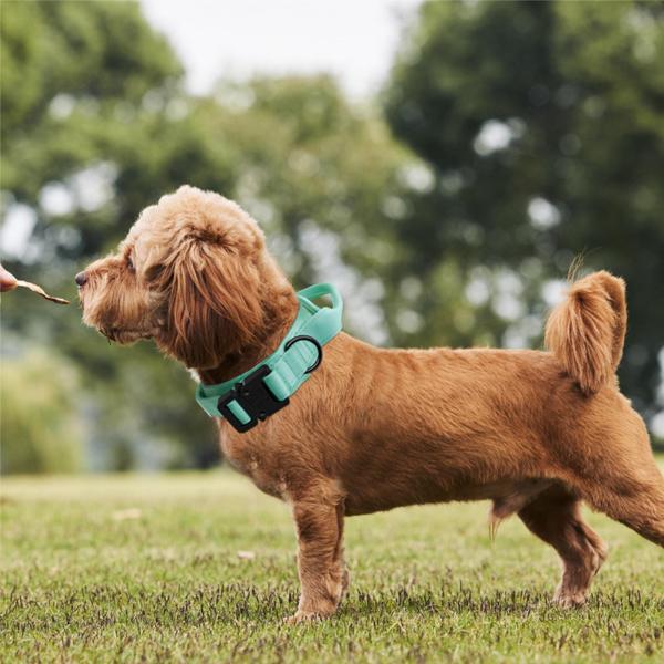 中型大型犬の子犬用に調整可能なハンドル付き犬用首輪の安全性｜stk-shop｜08