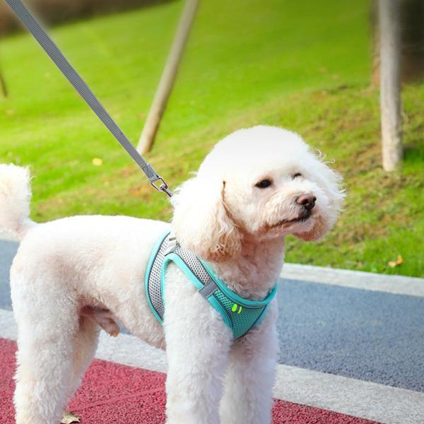 小中型大型犬用リーシュセット付き犬用ハーネス屋外ナイトウォーキング