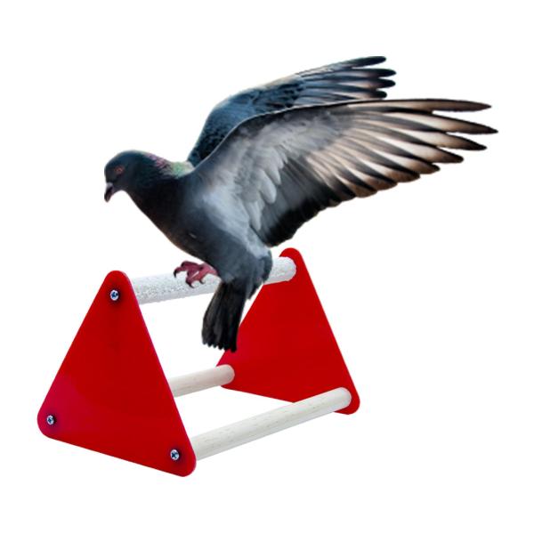 ペット オウム プレイスタンド エクササイズ アクティビティ センター オウム インコ コンゴウインコ