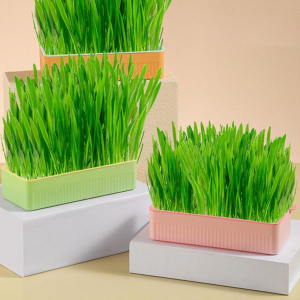 育苗トレー ソイルフリーシード 発芽トレー 苗植え用 グリーン