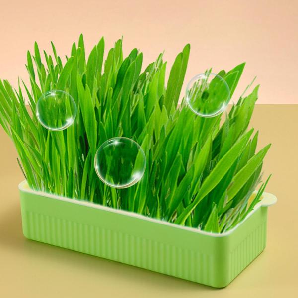 育苗トレー ソイルフリーシード 発芽トレー 苗植え用 グリーン