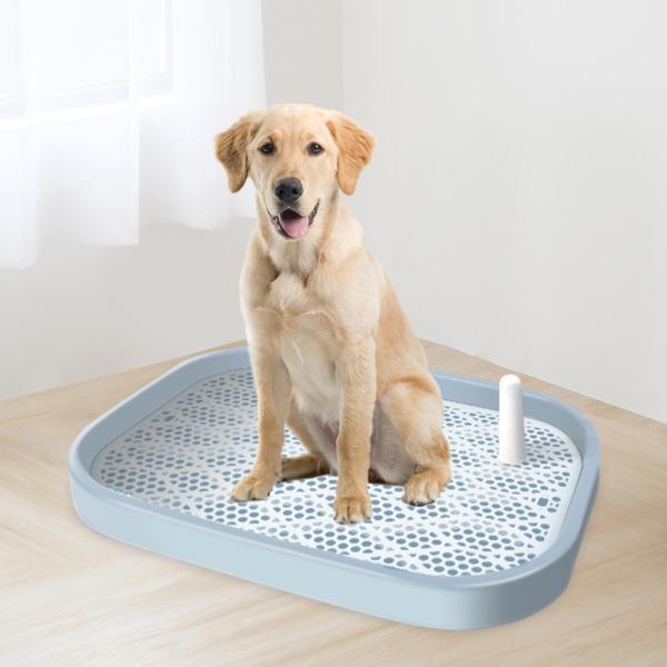 犬用トイレ 子犬用トイレトレイ 猫用トレーニングパッドホルダー 犬用トイレトレイ ブルー ホワイト