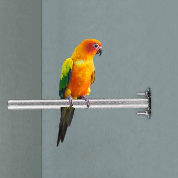 鳥のとまり木ステンレス鋼のオウムのおもちゃの爪研削ロッド プラットフォーム ポータブル 20 cm