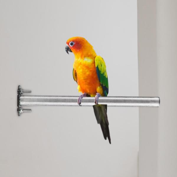鳥のとまり木ステンレス鋼のオウムのおもちゃの爪研削ロッド プラットフォーム ポータブル 20 cm
