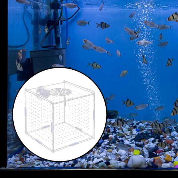 水族館隔離ボックス クリア水族館供給 攻撃的な魚の赤ちゃんエビ 10x10x10cm