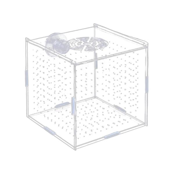 水族館隔離ボックス クリア水族館供給 攻撃的な魚の赤ちゃんエビ 10x10x10cm