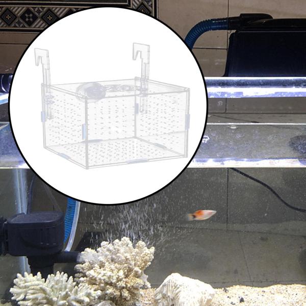 フィッシュブリーダーボックス 熱帯魚 水槽 - 水槽