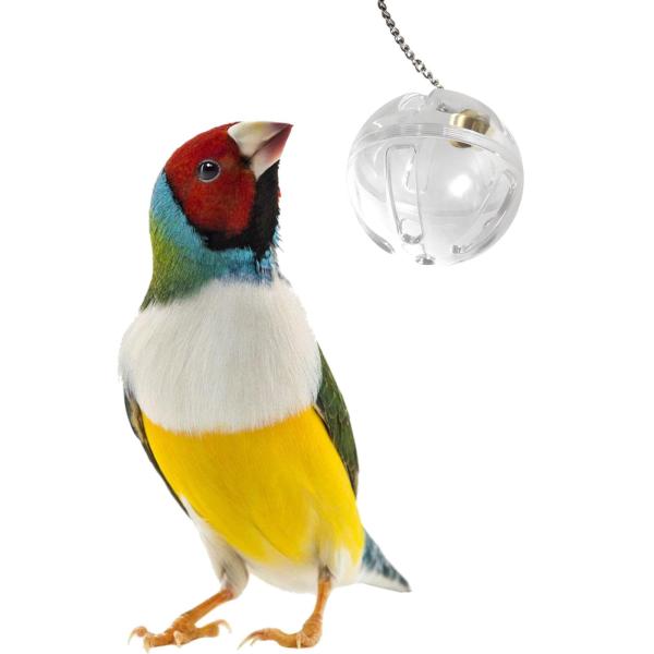 オウム採餌ボールクリアハンギング飼料おもちゃ鳥かごラブバードセキセイインコ用
