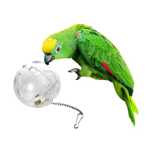 オウム採餌ボールクリアハンギング飼料おもちゃ鳥かごラブバードセキセイインコ用