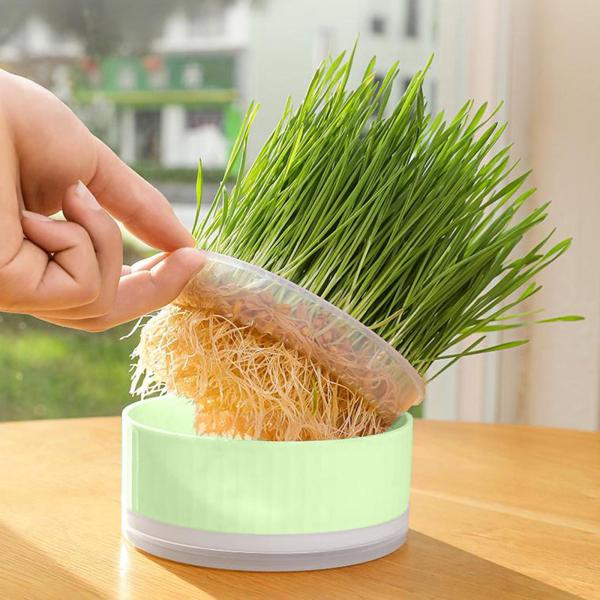 種子スプラウタートレイ水耕猫草ボックス温室苗植え用グリーン