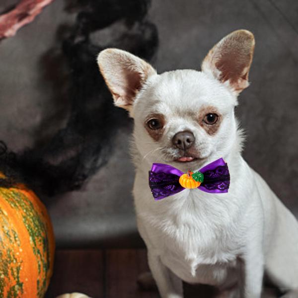 秋ハロウィンペット蝶ネクタイ子犬猫首輪ネックレス子猫小型犬ウサギスタイル F