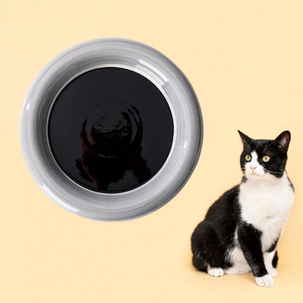セラミック猫ボウル 食品と水用 滑り止め ポータブル 安定した ペットフードボウル グレー ラウンド L