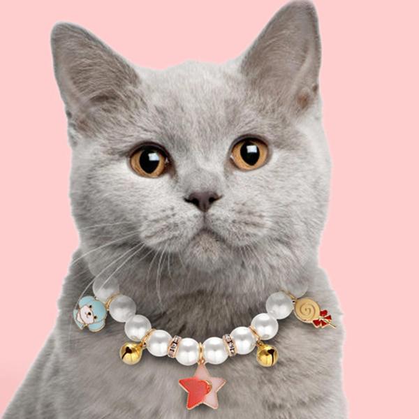 猫ネックレス首輪ファッション首輪アクセサリー子猫子犬パーティー M