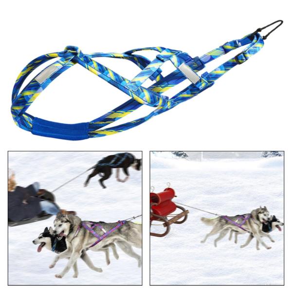 犬引っ張りハーネス スポーツ Skijoring Bikejoring ワークアウト そりハーネス ブルー M